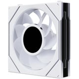 Lian Li UNI FAN SL-INF LCD FLEX 120 Reserve Wireless RGB case fan Wit, 120 x 124 x 28 mm, PWM