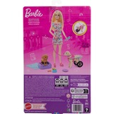 Mattel Barbie Hondenduo Pop 