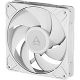 ARCTIC Arctic P14 Pro PST wh case fan Wit