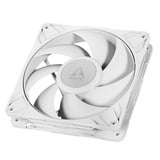 ARCTIC Arctic P14 Pro PST wh case fan Wit