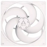 ARCTIC P14 PWM PST case fan Wit