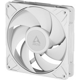 ARCTIC P14 Pro PST RGB case fan Wit, 140 x 140 x 27 mm, PWM