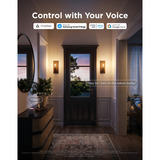 Govee Edison bulb E27 led-lamp 2 stuks, 2.4GHz wifi, Bluetooth