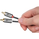 goobay Plus 3,5 mm jack naar 2x stereo RCA (Tulp) adapterkabel Zwart/zilver, 1 meter