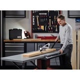 EINHELL Zaagtafel TE-TS 315 U tafelcirkelzaag Rood/zwart