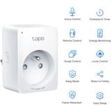 TP-Link Tapo P110 smart wifi-stopcontact stekker Wit