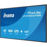 iiyama ProLite LH4366UHSB-B1AG 43" 4K Ultra HD Public Display Zwart, HDMI, USB-C, LAN, WiFi, Audio, Android