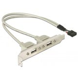 DeLOCK Slot bracket 10-pin header naar 2x USB-A slotplaatje Grijs, 0,3 meter