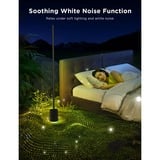 Govee RGBICWW Floor Lamp Pro sfeerverlichting Zwart, 2,4GHz-wifi + Bluetooth
