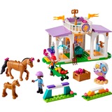 LEGO Friends - Paardentraining Constructiespeelgoed 41746