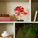 LEGO The Botanical Collection - Japanse esdoorn bonsaiboompje Constructiespeelgoed 10348