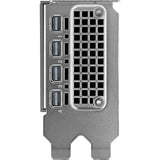 NVIDIA® RTX PRO 4000 SFF Blackwell grafische kaart 4x DisplayPort, Bulk