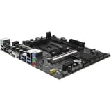 SAPPHIRE A520M-E socket AM4 moederbord RAID, LAN, Sound, ATX