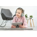 Buddyphones Cosmos+ over-ear hoofdtelefoon Grijs