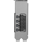 PNY NVIDIA RTX PRO 2000 Blackwell Generation 16GB PB grafische kaart 4x Mini-Display Port 2.1, Bulk
