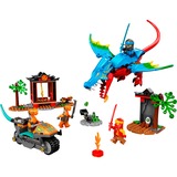 LEGO Ninjago - Ninja drakentempel Constructiespeelgoed 71759