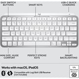 Logitech MX Keys Mini For Mac Minimalist Wireless Illuminated Keyboard, toetsenbord Grafiet, US-International, Bluetooth