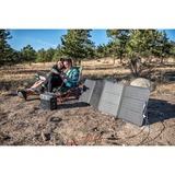 ECOFLOW 110W zonnepaneel Zwart