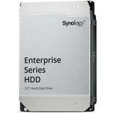 Synology HAT5320-24T 24 TB harde schijf SATA/600