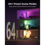 Govee Tree Floor Lamp Zwart, 2.4GHz wifi + Bluetooth