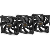 be quiet! Silent Loop 2 360 waterkoeling Zwart, 4-pins PWM fan-connector