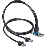 DeLOCK Mini PCIe-module  