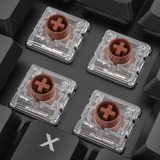 Sharkoon PureWriter W65 RGB mechanisch toetsenbord Zwart, BE lay-out (AZERTY), Kailh Choc V2 Low Profile Brown, 65%