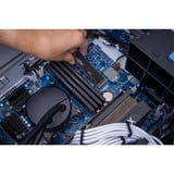 Crucial P310 2 TB SSD Zwart, CT2000P310SSD8, PCIe Gen 4.0 x4, NVMe 2.0