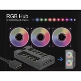 DeLOCK Delock RGB Hub f. ARGB LEDs+10Ports Zwart