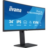 iiyama ProLite XCB3492WQSNP-B1 34" Curved UltraWide monitor Zwart, 1x DisplayPort, 2x HDMI, 3x USB-C, 2x USB-A, 1x RJ-45