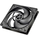 ARCTIC P12 case fans Zwart, 5 stuks, 120 x 120 x 25 mm