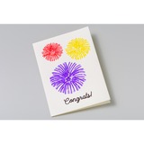 Cricut Watercolor Cards - R40 knutselmateriaal 