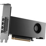 NVIDIA® RTX PRO 2000 Blackwell grafische kaart 4x mini-DisplayPort