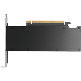 NVIDIA® RTX PRO 2000 Blackwell grafische kaart 4x mini-DisplayPort