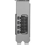 NVIDIA® RTX PRO 2000 Blackwell grafische kaart 4x mini-DisplayPort
