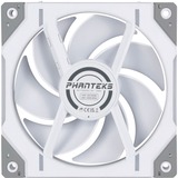 Phanteks D30-120 PWM Regular case fan Wit, 1 stuk, 4-pins PWM fan-connector