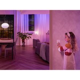 Philips Hue Switch module schakelaar Wit