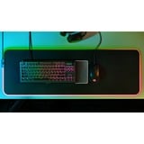 SteelSeries Apex 3 TKL RGB gaming toetsenbord Zwart, US lay-out (QWERTY), SteelSeries Whisper-Quiet, 80% (TKL)	