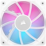 Corsair iCUE LINK RX120 RGB case fan Wit, 1 stuk, 4-pins PWM fan-connector