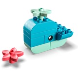 LEGO DUPLO - Walvis Constructiespeelgoed 30648