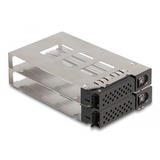 DeLOCK Slim Bay Mobile Rack for 2 x 2.5" U.2 NVMe SSD with 5.25" frame wisselframe Zwart