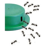 HG HGX mierenlokdoos 2 stuks insectenval 