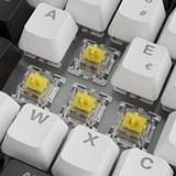 Sharkoon SKILLER SGK50 S3 RGB mechanisch gaming toetsenbord Wit, BE lay-out (AZERTY), Gateron Yellow, 75%, Hot-swappable