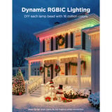 Govee Icicle Lights, 10 meter verlichting Wit, Matter
