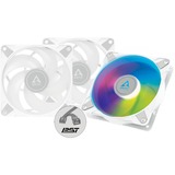 ARCTIC P12 PWM PST A-RGB case fan Wit/transparant, 3 stuks, 4-pins PWM fan-connector