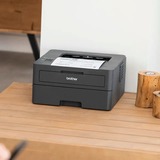 Brother HL-L2400DWE laserprinter Donkergrijs