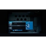 Synology  netwerkadapter 