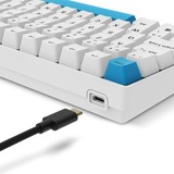 Sharkoon SKILLER SGK50 S2 PBT RGB mechanisch gaming toetsenbord Wit, BE lay-out (AZERTY), Gateron G Pro 3.0 Yellow, 96%, Hot-swappable