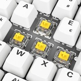 Sharkoon SKILLER SGK50 S2 PBT RGB mechanisch gaming toetsenbord Wit, BE lay-out (AZERTY), Gateron G Pro 3.0 Yellow, 96%, Hot-swappable