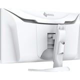 EIZO FlexScan EV3450XC-WT 34.1" Curved UltraWide monitor Wit, 2x HDMI, DisplayPort, 2x USB-A, USB-B, 2x USB-C, RJ-45
